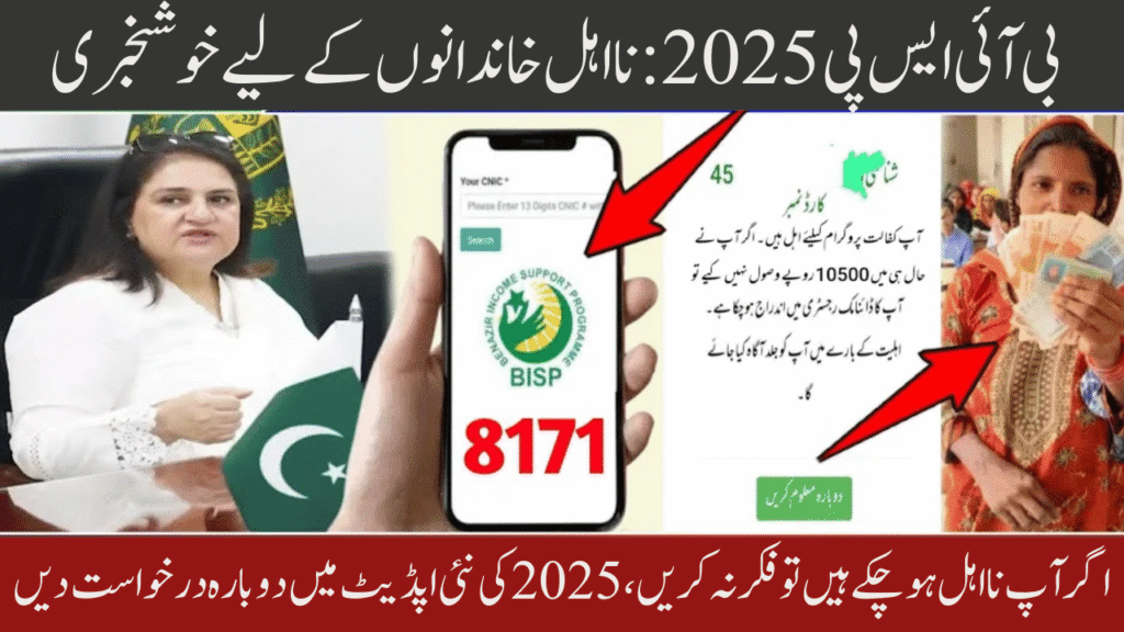 BISP Survey Update 2025