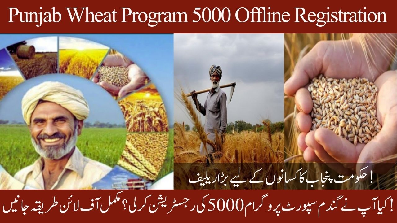 Punjab Wheat Support Program